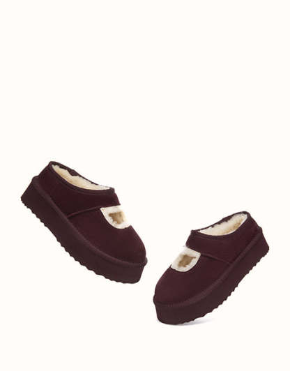 AUSTRALIAN SHEPHERD Carmella