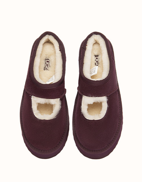 AUSTRALIAN SHEPHERD Carmella