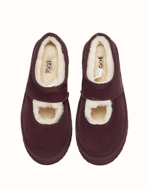 AUSTRALIAN SHEPHERD Carmella