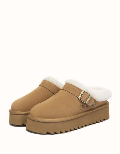 AUSTRthtALIAN SHEPthtHERD Pulsey Platform