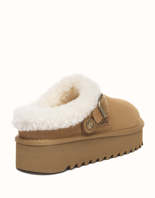 AUSTRthtALIAN SHEPthtHERD Pulsey Platform