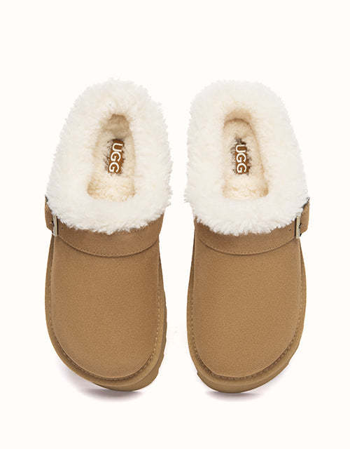 AUSTRthtALIAN SHEPthtHERD Pulsey Platform