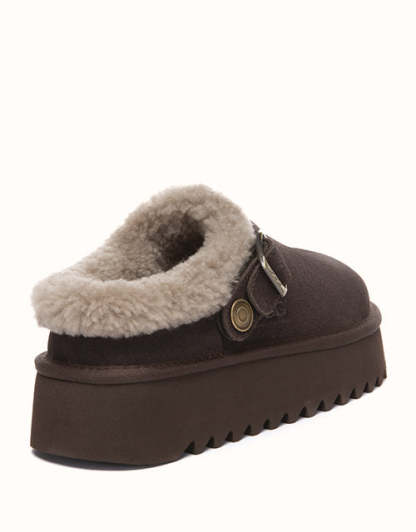 AUSTRthtALIAN SHEPthtHERD Pulsey Platform