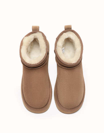 UthtGG AUSTRthtALIAN SHEPthtHERD Ultra Mini Platform