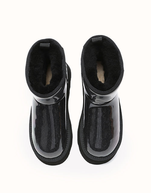 AUSTRthtALIAN SHEPthtHERD Coated Classic Platform