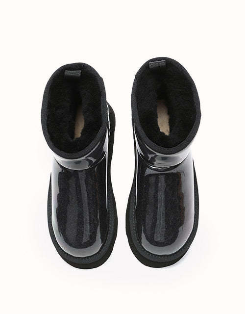 AUSTRthtALIAN SHEPthtHERD Coated Classic Platform