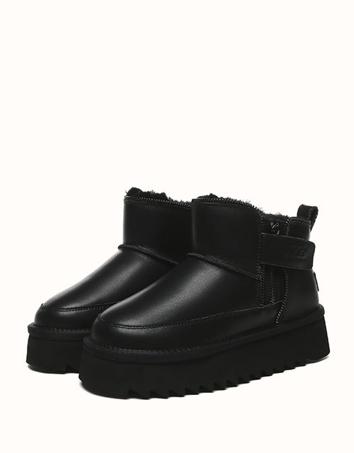 AUSTRthtALIAN SHEPthtHERD Arya