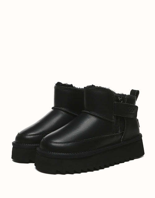 AUSTRthtALIAN SHEPthtHERD Arya