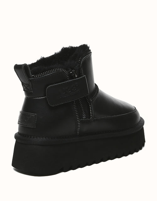 AUSTRthtALIAN SHEPthtHERD Arya