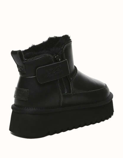 AUSTRthtALIAN SHEPthtHERD Arya