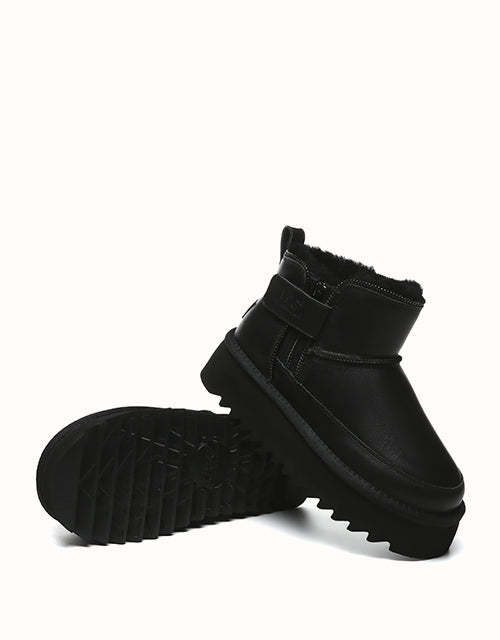 AUSTRthtALIAN SHEPthtHERD Arya