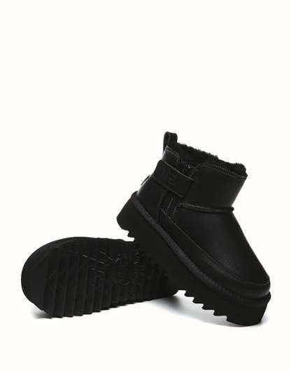 AUSTRthtALIAN SHEPthtHERD Arya