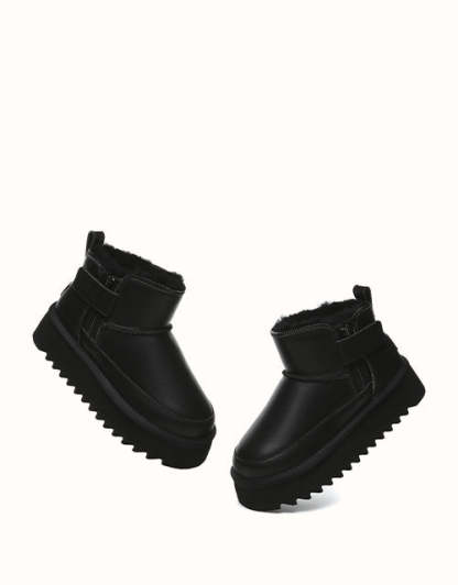 AUSTRthtALIAN SHEPthtHERD Arya