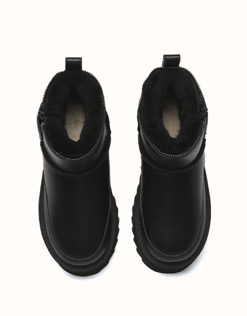 AUSTRthtALIAN SHEPthtHERD Arya