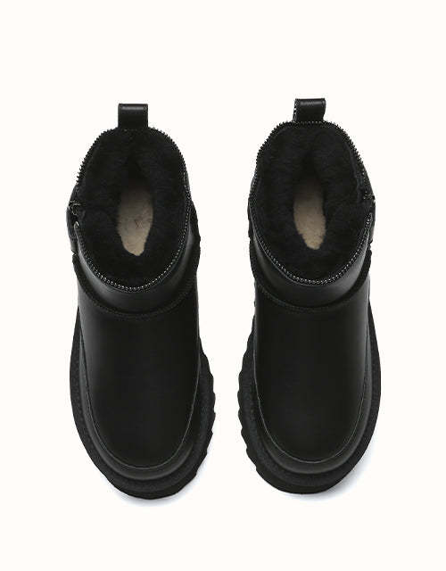 AUSTRthtALIAN SHEPthtHERD Arya