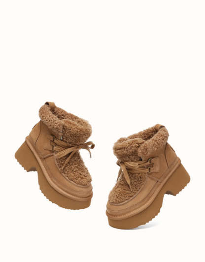 AUSTRthtALIAN SHEPthtHERD Bumpy