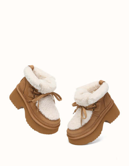 AUSTRthtALIAN SHEPthtHERD Bumpy