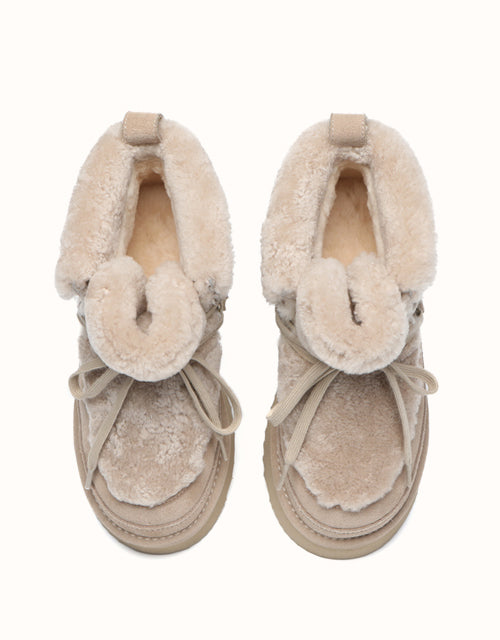 AUSTRthtALIAN SHEPthtHERD Bumpy