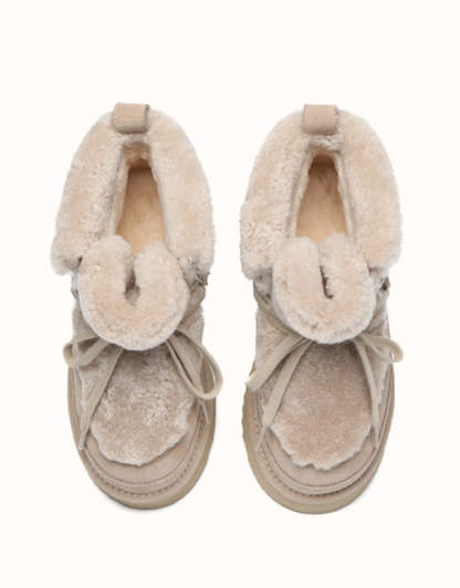 AUSTRthtALIAN SHEPthtHERD Bumpy