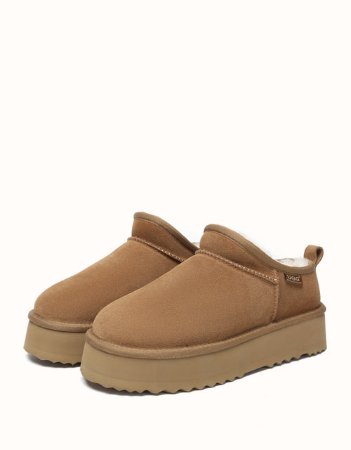 AUSTRthtALIAN SHEPthtHERD Nano Classic Platform