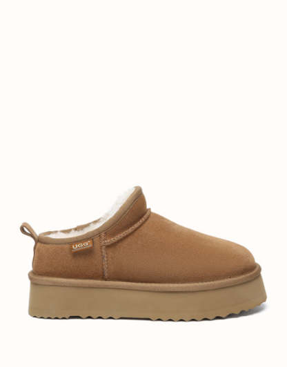 AUSTRthtALIAN SHEPthtHERD Nano Classic Platform