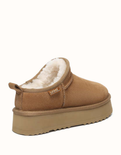 AUSTRthtALIAN SHEPthtHERD Nano Classic Platform