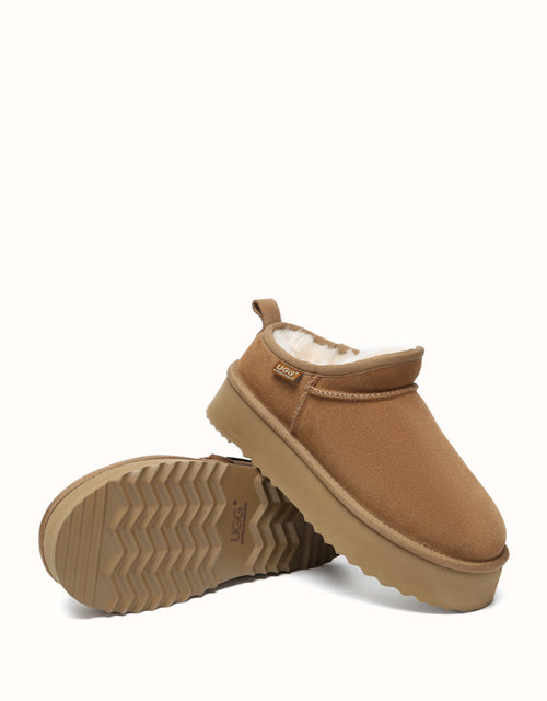 AUSTRthtALIAN SHEPthtHERD Nano Classic Platform