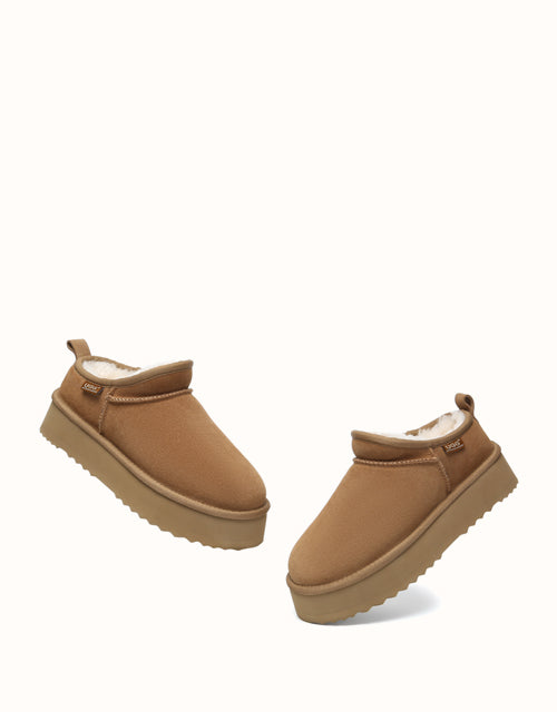 AUSTRthtALIAN SHEPthtHERD Nano Classic Platform