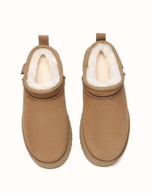 AUSTRthtALIAN SHEPthtHERD Nano Classic Platform