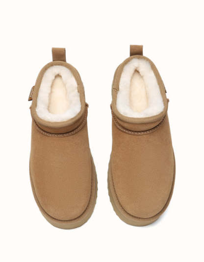 AUSTRthtALIAN SHEPthtHERD Nano Classic Platform