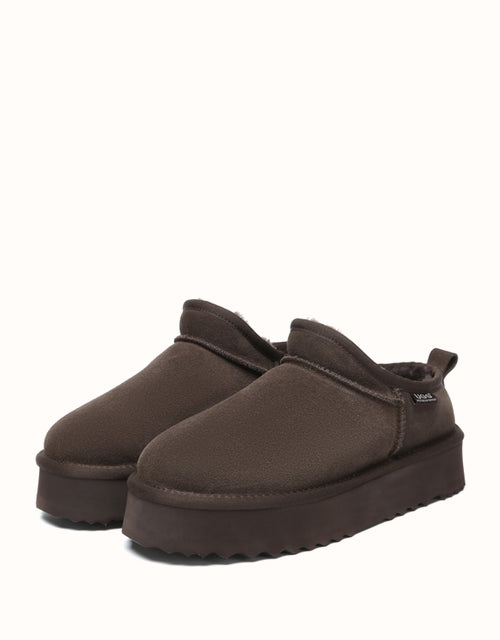 AUSTRthtALIAN SHEPthtHERD Nano Classic Platform