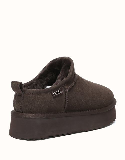 AUSTRthtALIAN SHEPthtHERD Nano Classic Platform