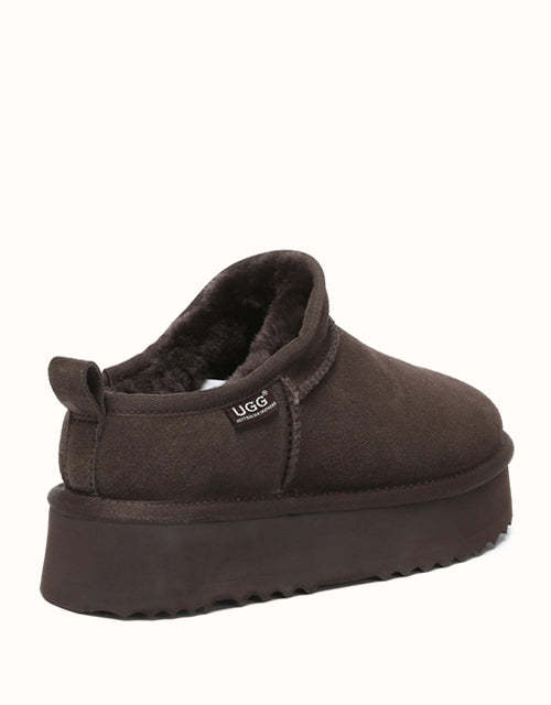 AUSTRthtALIAN SHEPthtHERD Nano Classic Platform