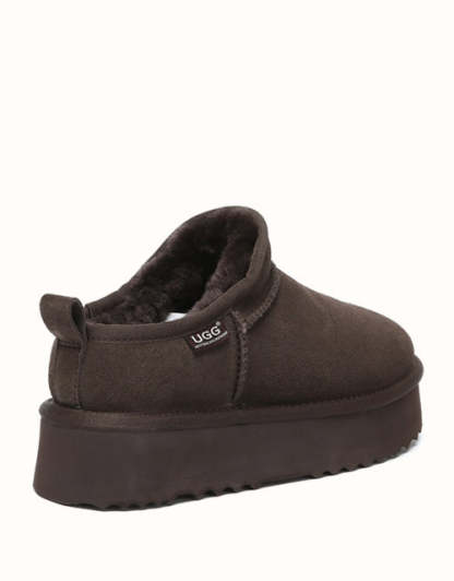 AUSTRthtALIAN SHEPthtHERD Nano Classic Platform