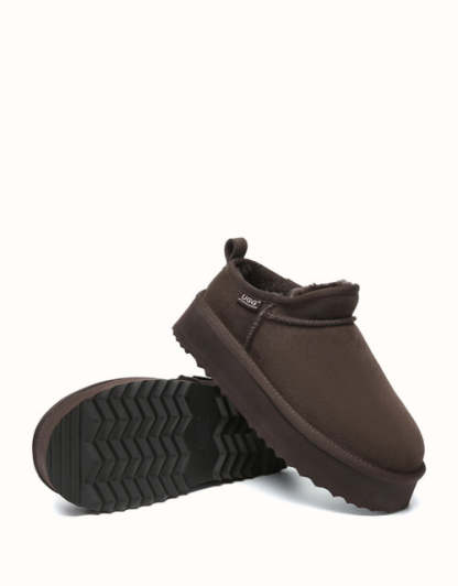 AUSTRthtALIAN SHEPthtHERD Nano Classic Platform