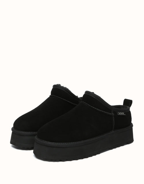 AUSTRthtALIAN SHEPthtHERD Nano Classic Platform