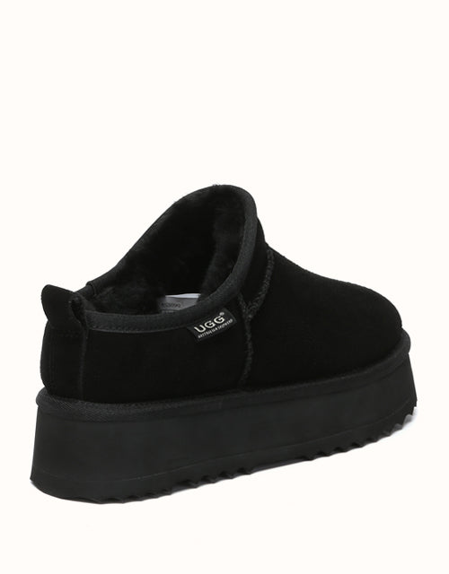 AUSTRthtALIAN SHEPthtHERD Nano Classic Platform