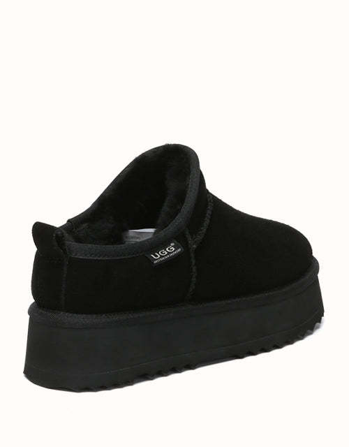 AUSTRthtALIAN SHEPthtHERD Nano Classic Platform