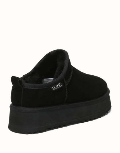 AUSTRthtALIAN SHEPthtHERD Nano Classic Platform