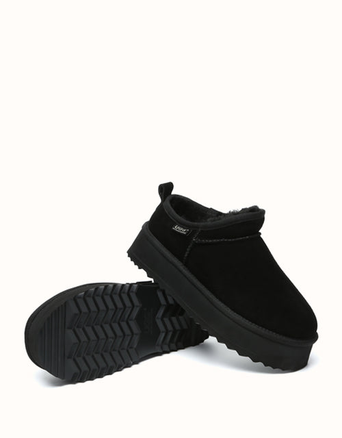 AUSTRthtALIAN SHEPthtHERD Nano Classic Platform