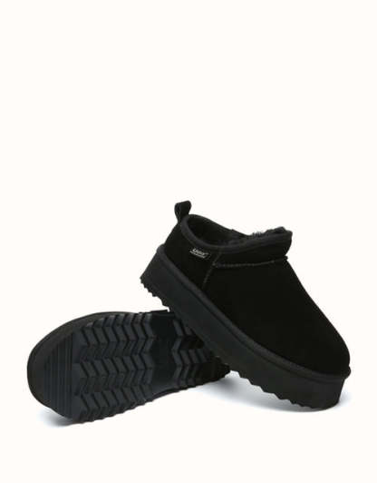 AUSTRthtALIAN SHEPthtHERD Nano Classic Platform