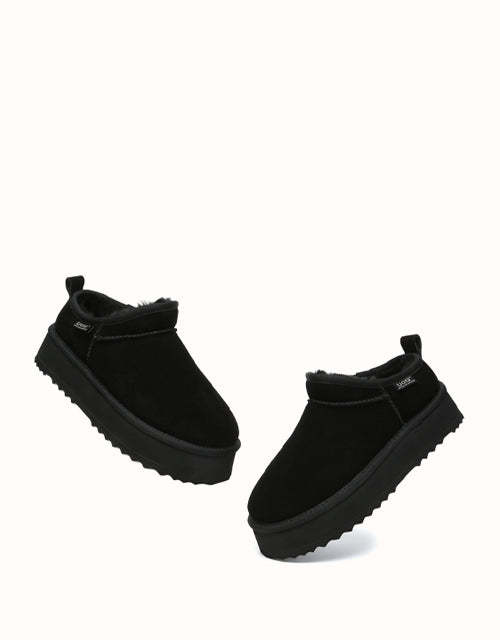 AUSTRthtALIAN SHEPthtHERD Nano Classic Platform