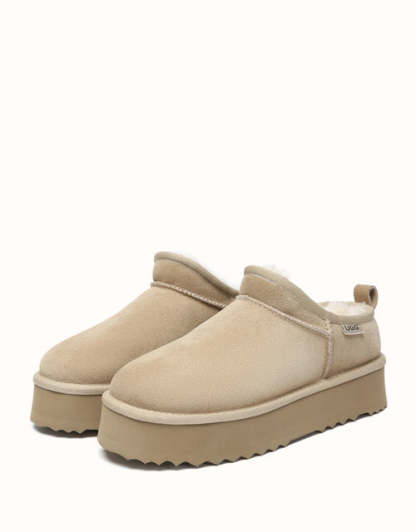 AUSTRthtALIAN SHEPthtHERD Nano Classic Platform