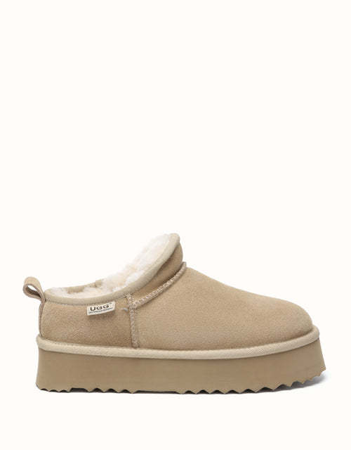 AUSTRthtALIAN SHEPthtHERD Nano Classic Platform