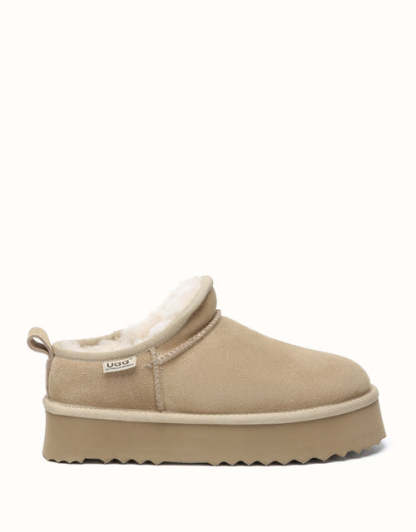 AUSTRthtALIAN SHEPthtHERD Nano Classic Platform