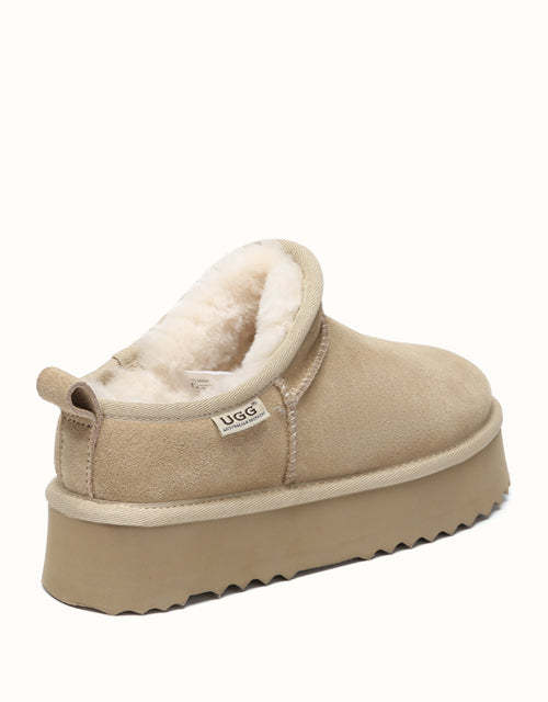 AUSTRthtALIAN SHEPthtHERD Nano Classic Platform