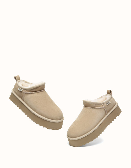 AUSTRthtALIAN SHEPthtHERD Nano Classic Platform