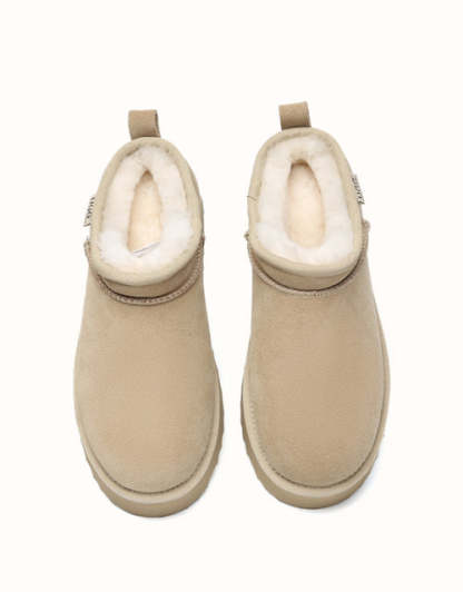 AUSTRthtALIAN SHEPthtHERD Nano Classic Platform