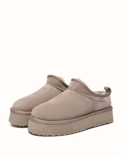 AUSTRthtALIAN SHEPthtHERD Nano Classic Platform