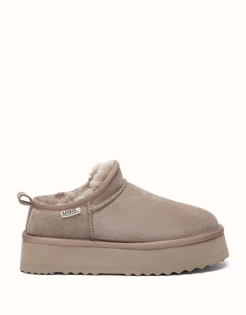 AUSTRthtALIAN SHEPthtHERD Nano Classic Platform